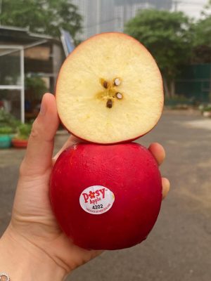 Táo envy new zealand - Ngon Fruit