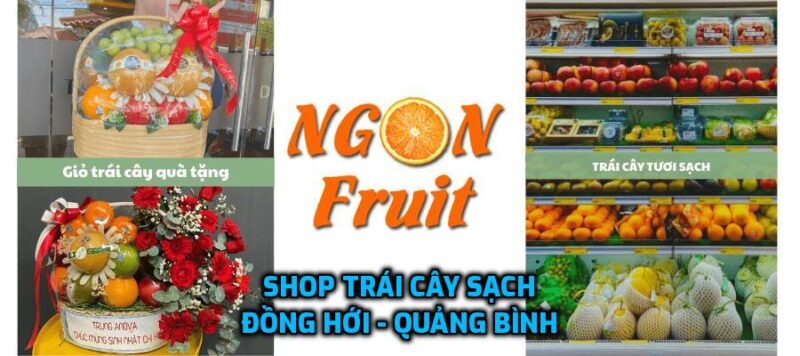 Shop Trái cây nhập khẩu Đồng Hới - Quảng Bình 