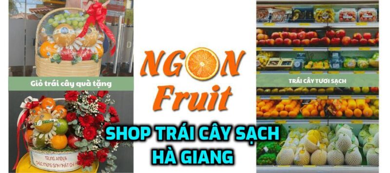 Shop trái cây nhập khẩu Hà Giang 