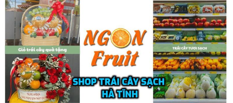 Shop trái cây nhập khẩu Hà Tĩnh