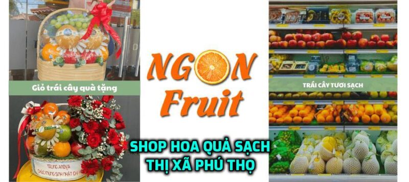 shop hoa quả nhập khẩu thị xã Phú Thọ